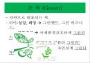 색의효과  14페이지