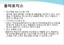 국내 주요 기업 녹색 물류 전략 사례조사 및 분석 14페이지