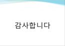 국내 주요 기업 녹색 물류 전략 사례조사 및 분석 32페이지