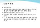 정부의 실업 대책 4페이지