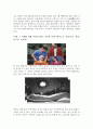 프랑코 사망이후 스페인의 문화적 패러다임의 변화와 그 양상 (13송이장미들, 나비혀, 페드로알모도바르, 프랑코시대의 문화, 스페인역사문화, 문화적 패러다임, 영화와 문화, 역사와 문화) 5페이지
