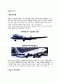 [항공업의 경영]항공사업경영, 항공업의 경영방법과 조직구성 및 임무 2페이지