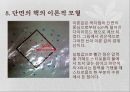 [응용역학 실험] 단면의 핵(Core of Cross Section).pptx 10페이지