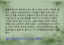 스페인(에스파냐) 중남미 문화의 이해 - 스페인 문학을 이끌어나가는 작가들 (소설 & 시 & 극).pptx 16페이지