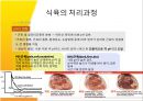 [식품공 저장학] 식육 및 식육공.pptx 10페이지