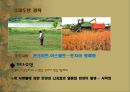 [자연환경] 사막화에 관해서.pptx 7페이지