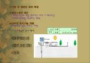 [자연환경] 사막화에 관해서.pptx 13페이지