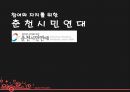 NGO_춘천시민연대_발표자료 1페이지