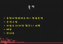 NGO_춘천시민연대_발표자료 2페이지