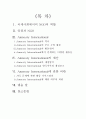 [국제 NGO 분석 - 앰네스티 (Amnesty)] 국제사회에서의 NGO의 역할, 인권과 NGO, 역사, 활동, 활동원칙, 예산, 재정방식, 비판, 가이드라인 2페이지