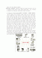 [국제 NGO 분석 - 앰네스티 (Amnesty)] 국제사회에서의 NGO의 역할, 인권과 NGO, 역사, 활동, 활동원칙, 예산, 재정방식, 비판, 가이드라인 7페이지