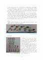 [유아기의 신체 운동발달] 유아기의 신체성장, 체중의 변화,  유아기의 운동발달, 유이기의 건강과 안전 5페이지