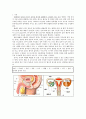 [수정과 태내기 발달] 수정의 방법, 착상의 방법, 임신의 첫 징후, 태내기 개념, 발달 단계(발아기, 배아기, 태아기), 태내 연령에 따른 태내 발달 3페이지