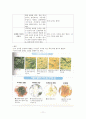 [영아의 신체 운동] 영아기 신체운동 발달 - 아동의 신체성장, 영아의 손의 조작능력, 영아의 보행의 발달, 생기적 기능(수면과 배설) 11페이지
