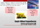 [언어인식 발표자료] 인지언어학적관점 (피아제의 인지발달이론과 사피어워프가설), 생성언어학적관점 비교 분석 7페이지