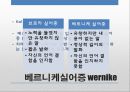 [언어인식 발표자료] 인지언어학적관점 (피아제의 인지발달이론과 사피어워프가설), 생성언어학적관점 비교 분석 14페이지