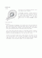 [사범/법학] [태내기] 태내 환경, 태내기 진단(유전상담, 초음파, 융모, 양수검사등), 태내기 교육(전통, 현대적), 태내기에 대한 견해 11페이지