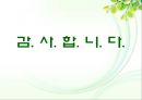 [개별화교육] 개별화교육의 정의, 기능, 개별화교육의 수립과 실행절차, 개별화교육의 교육방법 18페이지