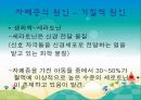 [자폐증 (自閉症 / autism)] 자폐증 특징, 자폐증 의사소통, 자폐증 원인 (심인성이론, 유적영향, 후천영향), 자폐증 진단기준, 자폐증 치료 방안.PPT자료 15페이지