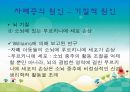 [자폐증 (自閉症 / autism)] 자폐증 특징, 자폐증 의사소통, 자폐증 원인 (심인성이론, 유적영향, 후천영향), 자폐증 진단기준, 자폐증 치료 방안.PPT자료 18페이지