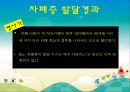 [자폐증 (自閉症 / autism)] 자폐증 특징, 자폐증 의사소통, 자폐증 원인 (심인성이론, 유적영향, 후천영향), 자폐증 진단기준, 자폐증 치료 방안.PPT자료 32페이지