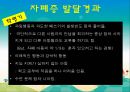 [자폐증 (自閉症 / autism)] 자폐증 특징, 자폐증 의사소통, 자폐증 원인 (심인성이론, 유적영향, 후천영향), 자폐증 진단기준, 자폐증 치료 방안.PPT자료 34페이지