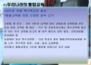 [통합교육] 통합교육의 개념·배경·조건·실제·효과.PPT자료 18페이지