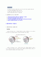 새론오토모티브 - 자동차부품 산업분석, 기업분석, 자소서(자기소개서) 면접 POINT, 입사동기, 입사 후 포부, 면접 대처 2페이지