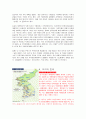 3.1운동(한국사) 5페이지