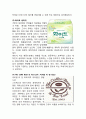 컬러마케팅 개념분석및 성공,실패 사례분석과 컬러마케팅 활용전략 제안 14페이지