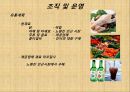 [ 창업계획서 ] 1인식당 전문점 (혼자먹는식당) 창업 사업계획서 13페이지