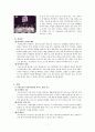대중문화와 매스컴 - 무한도전의 인기 비결 7페이지