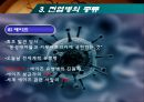 질병의 글로벌리제이션과 글로벌 대응 (전염병의 글로벌리제이션, 전염병의 전이, 전염병의 종류와 현황, 전염병에 대한 글로벌 대응).PPT자료 15페이지