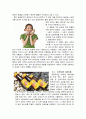 [광동제약 기업분석] 광동제약의 위치분석, BCG 매트릭스, 다섯 가지(Five Forces) 세력 모델, 저원가 전략, SWOT, 제품 차별화, 수직적 통합, 다각화 전략, 전략적 제휴, M&A(기업인수)사례, 해외진출, 미래 전략 29페이지