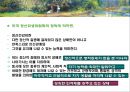 [정신건강론]정신건강의 이해 - 정신건강의 개념, 정신건강론의 성립과정, 정신건강의 조건, 정신건강에 대한 심리학적 견해 5페이지