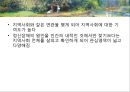 [정신건강론]정신건강의 이해 - 정신건강의 개념, 정신건강론의 성립과정, 정신건강의 조건, 정신건강에 대한 심리학적 견해 12페이지
