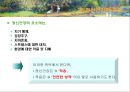 [정신건강론]정신건강의 이해 - 정신건강의 개념, 정신건강론의 성립과정, 정신건강의 조건, 정신건강에 대한 심리학적 견해 13페이지
