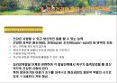 [정신건강론]정신건강의 이해 - 정신건강의 개념, 정신건강론의 성립과정, 정신건강의 조건, 정신건강에 대한 심리학적 견해 22페이지