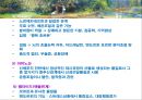 [정신건강론]정신건강에 영향을 주는 요인 - 생물학적 요인(유전과 신체의 영향, 뇌와 행동, 행동과 호르몬) 17페이지