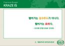 크라제버거 마케팅 SWOT,STP,4P전략분석과 마케팅실패 요인분석과 크라제버거 향후발전전략 제안 PPT자료 6페이지
