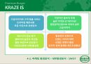 크라제버거 마케팅 SWOT,STP,4P전략분석과 마케팅실패 요인분석과 크라제버거 향후발전전략 제안 PPT자료 15페이지
