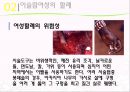 [★★추천PPT★★]이슬람 여성에 대한 분석 발표보고서 22페이지