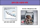 [★★추천PPT★★, 가족기능, 가족문제, 가족정책, 가족복지, 가족]가족기능, 가족문제, 가족정책, 가족복지 심층 분석(가족기능, 가족정책, 가족문제 사회복지적 대응책, 가족복지제도 현황과 문제점, 가족복지 전 38페이지