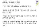 [★추천PPT★]장애인과 접근권 [장애인, 장애인 문화접근권, 장애인 평등권, 장애인 수급권, 사회권, 사회보장권, 교육권]장애인의 문화접근권, 장애인의 장애인의 사회보장권, 장애인의 교육권 분석.PPT자료 25페이지