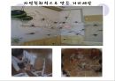 [★★추천PPT★★] [생태유아교육 모든 것] 생태유아교육 개념, 생태유아교육 특징, 생태유아교육 모든 것.PPT자료 59페이지