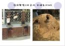 [★★추천PPT★★] [생태유아교육 모든 것] 생태유아교육 개념, 생태유아교육 특징, 생태유아교육 모든 것.PPT자료 63페이지