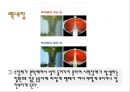 [★★추천PPT★★]노화의 개념, 노화의 요인, 노화와 생물학적 노화, 노화와 사회적 노화, 노화와 심리적 노화, 노화와 노년기, 노화와 보호기능, 노화와 인체변화(신체변화), 노화와 피부노화, 노화의 억제방법 분 23페이지