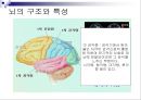 [★★추천PPT★★]아동미술교육] 아동미술교육(어린이미술교육)의 의의와 필요성, 아동미술교육(어린이미술교육)의 관련활동, 아동미술교육(어린이미술교육) 정신분석학적 관점과 심리학, 아동미술교육(어린이미술교 9페이지