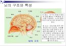 [★★추천PPT★★]아동미술교육] 아동미술교육(어린이미술교육)의 의의와 필요성, 아동미술교육(어린이미술교육)의 관련활동, 아동미술교육(어린이미술교육) 정신분석학적 관점과 심리학, 아동미술교육(어린이미술교 13페이지