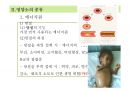 [추천PPT] 아동영양교육의 필요성과 구체적인 영양교육 방법에 대해 서술 14페이지